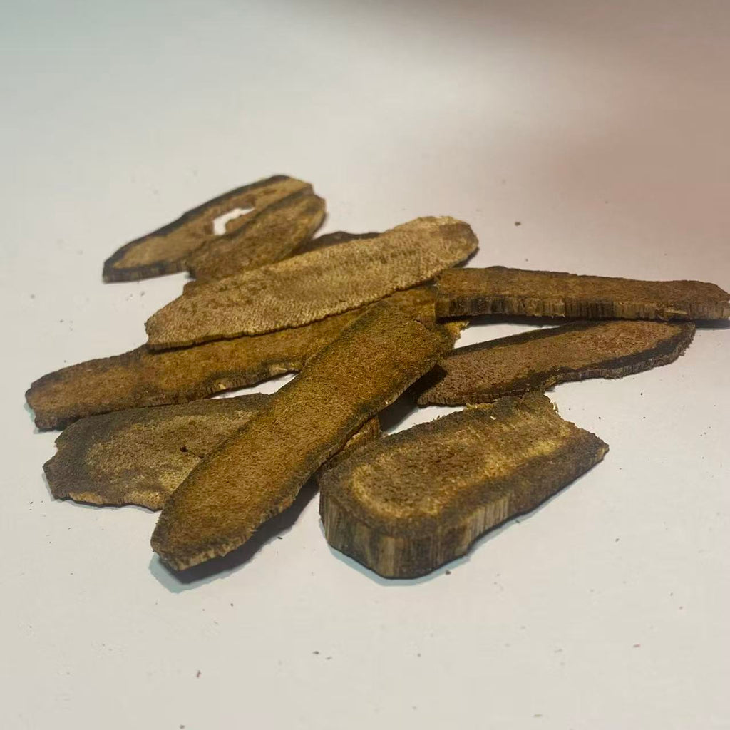 FOREZA Kyara Oud – Premium Agarwood Chips, Slices & Granules (Sinking Grade Available)