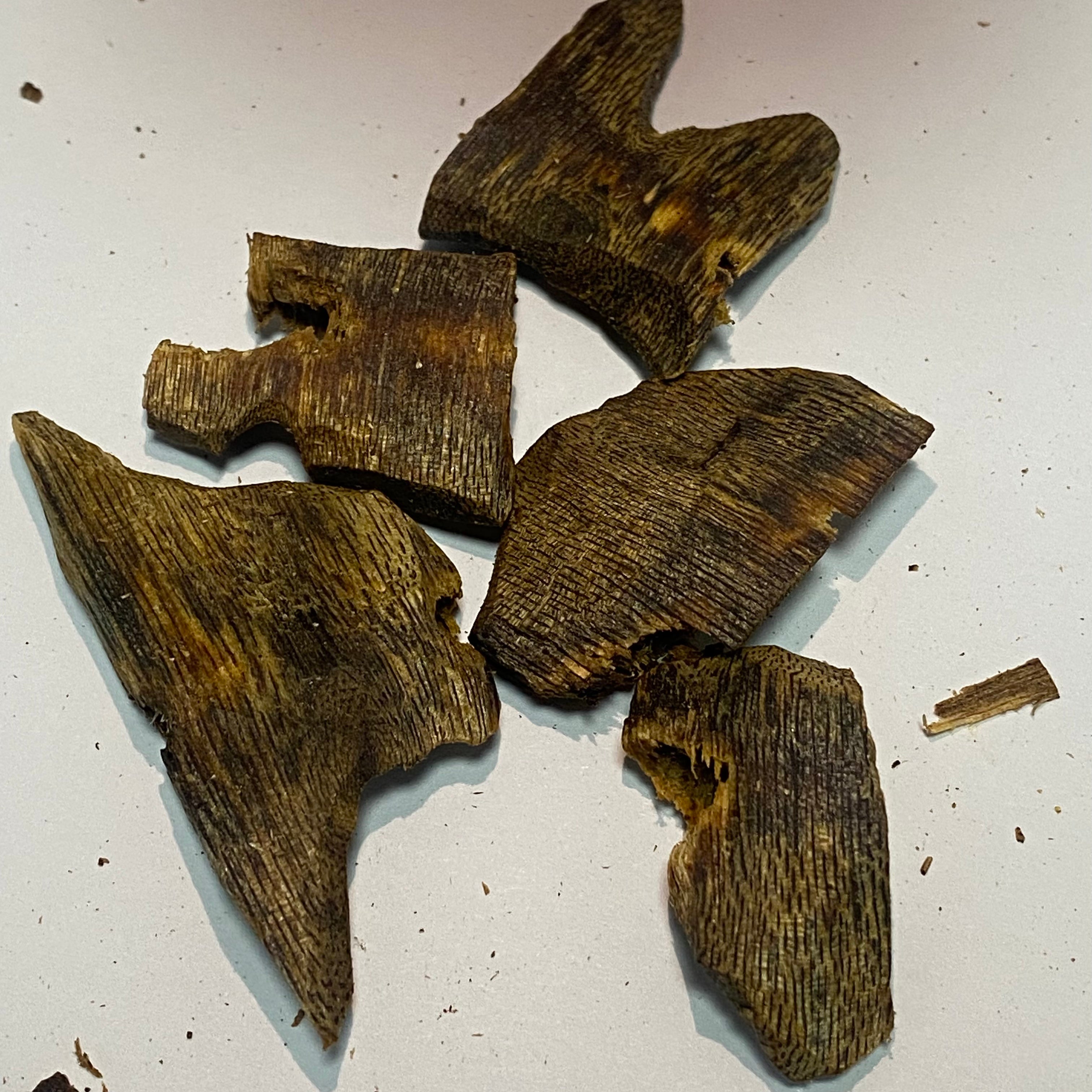 FOREZA Kyara Oud – Premium Agarwood Chips, Slices & Granules (Sinking Grade Available)