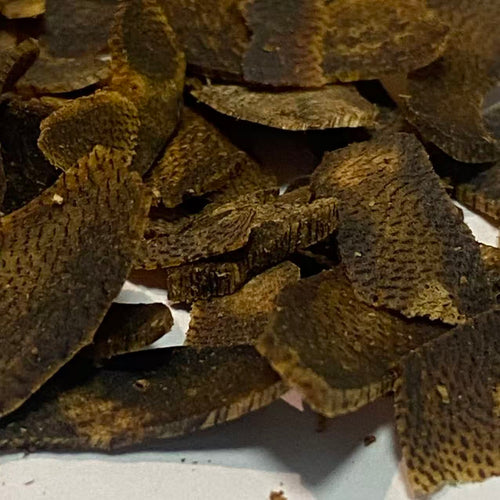 FOREZA Kyara Oud – Premium Agarwood Chips, Slices & Granules (Sinking Grade Available)