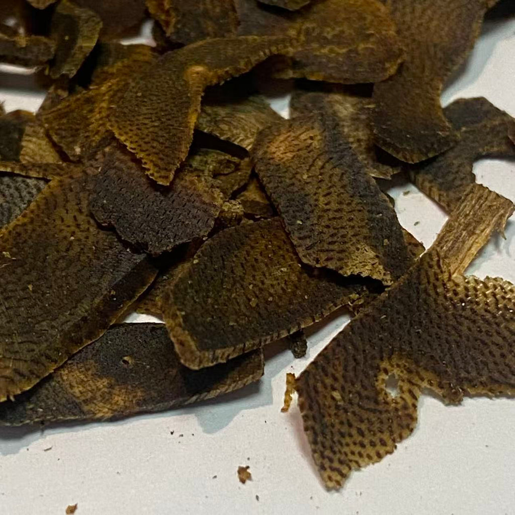 FOREZA Kyara Oud – Premium Agarwood Chips, Slices & Granules (Sinking Grade Available)