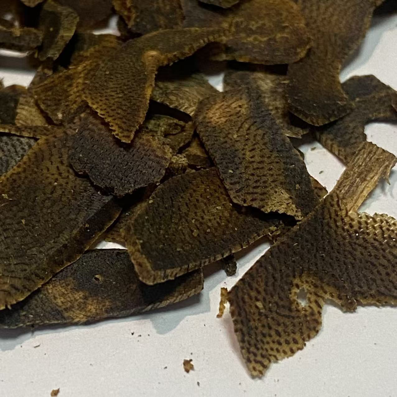 FOREZA Kyara Oud – Premium Agarwood Chips, Slices & Granules (Sinking Grade Available)