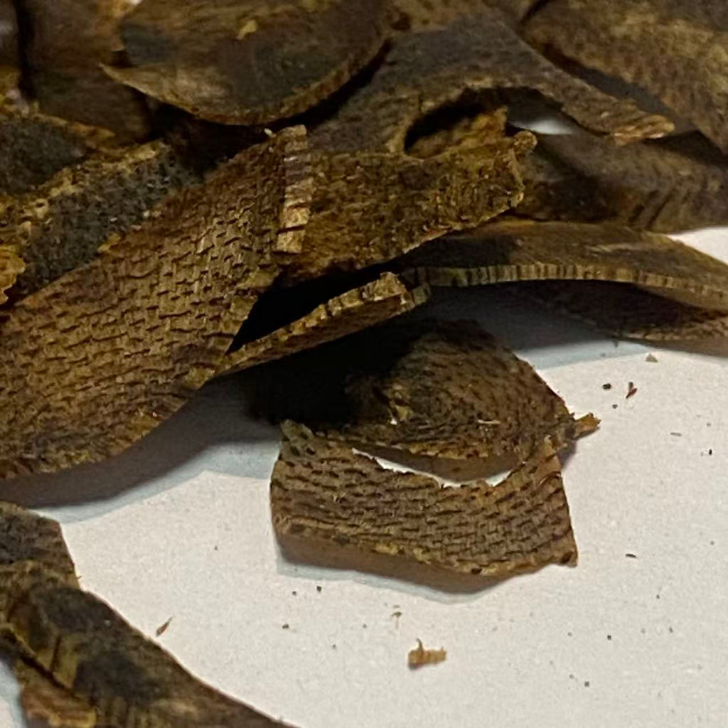 FOREZA Kyara Oud – Premium Agarwood Chips, Slices & Granules (Sinking Grade Available)