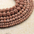 Natural Mala Rudraksha Beads 108PCS 6 8 10 12 mm Prayer Buddhist for Bracelet Necklace Meditation Practice DIY Jewelry Making