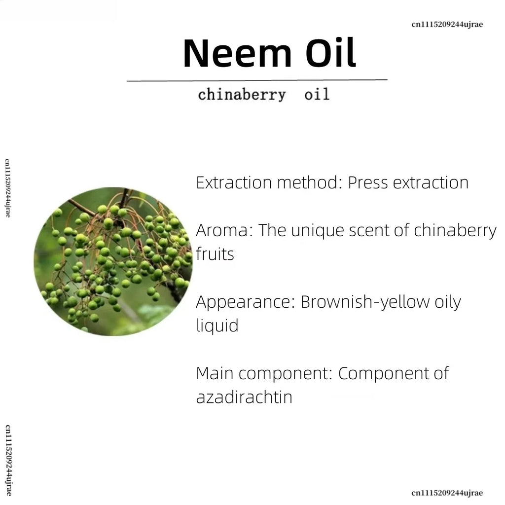 Organic Neem Oil - Spiritual Incense Oil for Meditation, Yoga, Prayer, Skin Hair, Air Freshener,Aroma Diffuser,Home Fragrance
