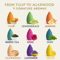 98/198/297 Pieces of Natural Backflow Incense Cones | 9 Types of Natural Fragrance |   Cleanse the Body and Mind |   Suitable for Meditation, Relaxation, and Holiday Gifts |   Simple and Elegant Packaging |   Multi-Scent Set