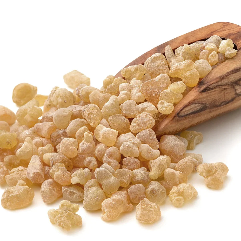High Quality Frankincense Incense Block Clean Aroma  Boswellia Frankincense 20g