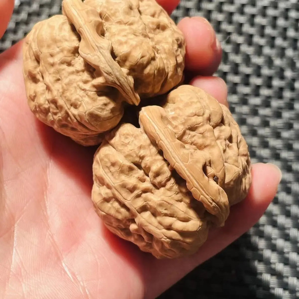 2026 Chinese Style Toad Head Walnut Fidget Toy 34-41mm