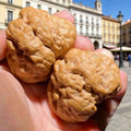 2026 Chinese Style Toad Head Walnut Fidget Toy 34-41mm