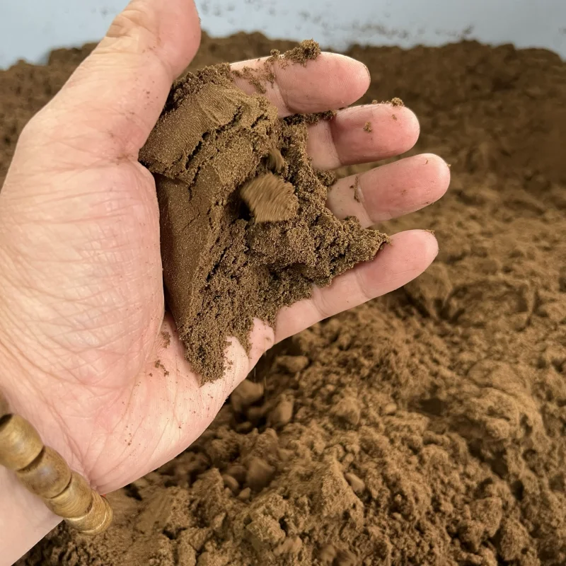 Natural Green Qinan Agarwood Powder Laosheng Pure Qinan Fragrance Powder Car Home Aromatherapy Soothing and Relaxing Spirit