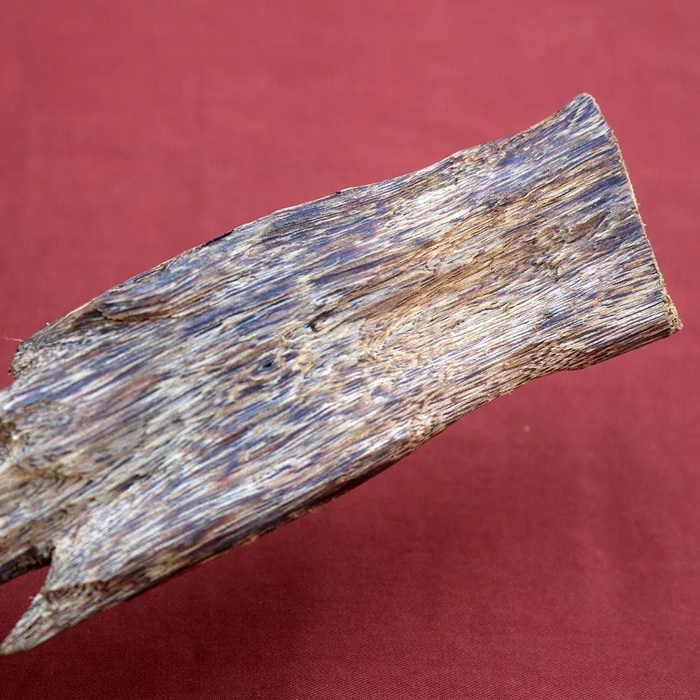Authentic Kynam Oud Wood 94g 37CM Home Decor Agarwood Qi Nan Kyara Jin-Koh Self-Grown Nectar & Fruit Scent Room