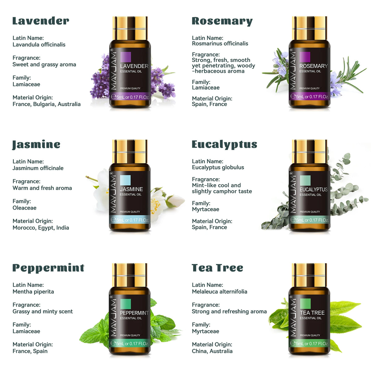 MAYJAM 35 Bottles Essential Oils Kit Gift Box ,Lavender Jasmine Vanilla Lemon Eucalyptus Sandalwood Frankincense SweetOrange Ylang Rose Bergamot Tea Tree Lemongrass Patchouli Rosemary Geranium Citronella Aromatherapy Oil for Humidifier Diffuser DIY Candle