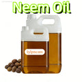 Organic Neem Oil 100ml for Aromatherapy & Meditation
