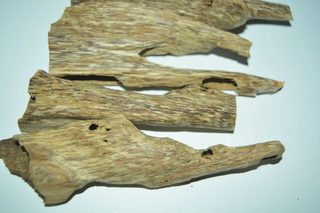1Bag 5g Natural Hainan Agarwood Worm Leakage Scraping Scraps Incense Aromatherapy Agarwood Raw Wood Block Free Shipping Included
