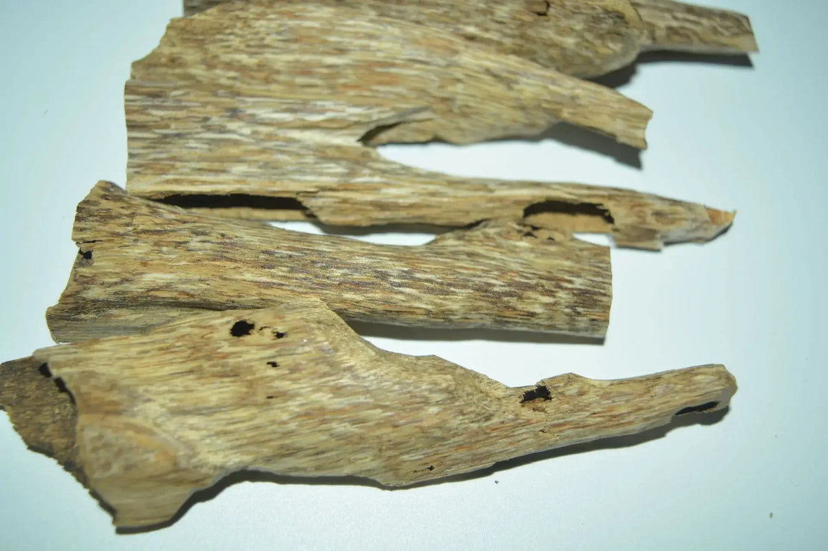 1Bag 5g Natural Hainan Agarwood Worm Leakage Scraping Scraps Incense Aromatherapy Agarwood Raw Wood Block Free Shipping Included