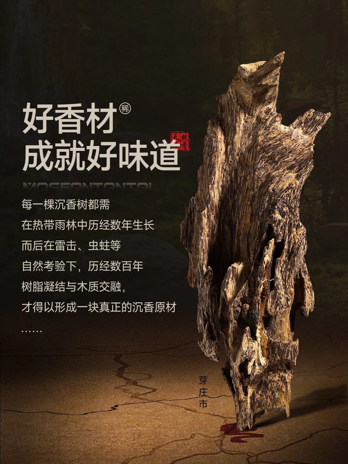 Mofan Ambon agarwood incense incense home indoor bedroom sleep aromatherapy soil old material office yoga incense
