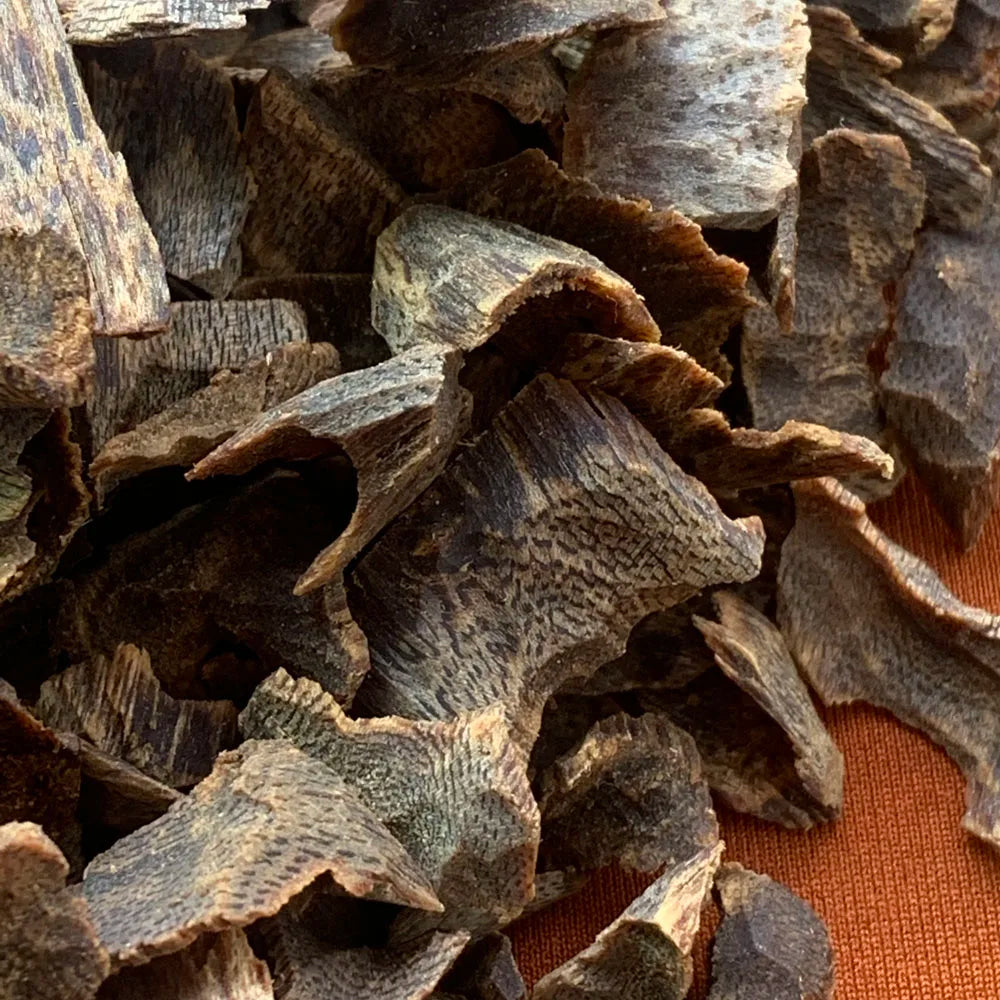 Wholesale Genuine Chinese Ky Incense Wood Chips Heartwood Sinking Under Water Eco-Friendly Farm-Grown Grafted Cultivation