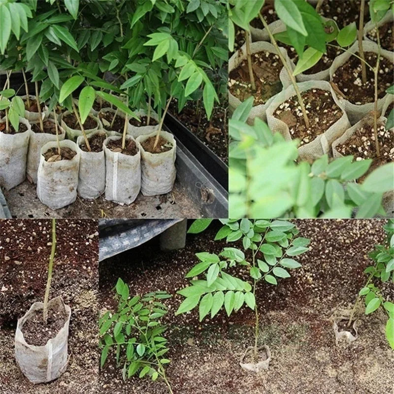 100-500Pcs Biodegradable Grow Bags 10x10cm-20x26cm