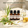20ml Natural Oud Mugwort Plant Scent Oil Home Incense Supply For Indoor Atmosphere & Diy Fragrance Craft