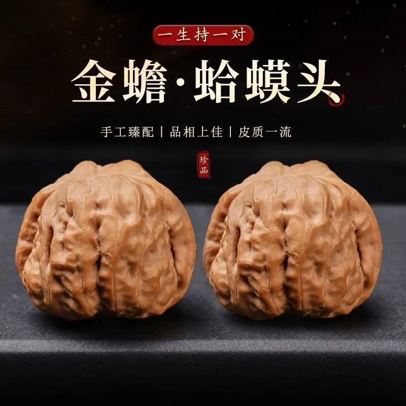 2026 Chinese Style Toad Head Walnut Fidget Toy 34-41mm