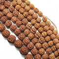 12mm-15mm Real Rudraksha Bodhi Beads 108 Strand