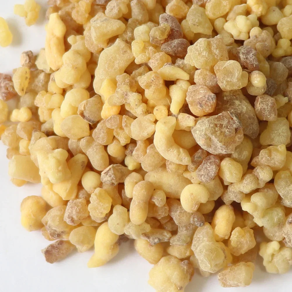 High Quality Frankincense Incense Block Clean Aroma  Boswellia Frankincense 20g