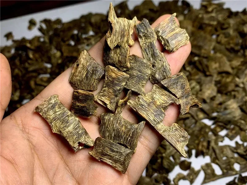 5g Pure Rich Oud Scent Perfect Charcoal Heating Long-Lasting Fragrance Ideal Majlis Prayer & Gatherings 100% Cultivated Agarwood