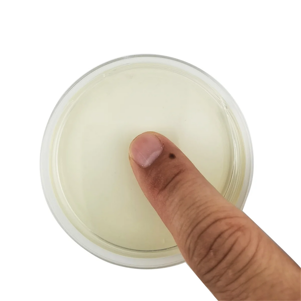 B12B-Potato Dextrose Agar Petri Dish for Mushrooms, Home Test Kit, 10PCS
