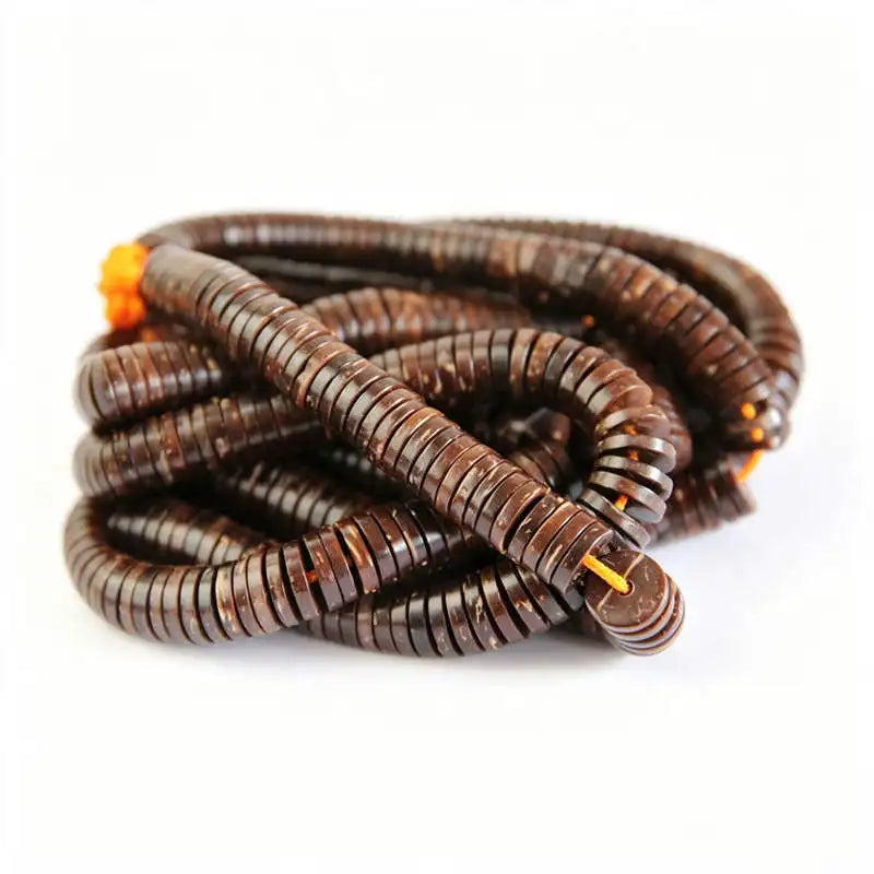 Natural Coconut Shell Beads 4mm-12mm Spacers