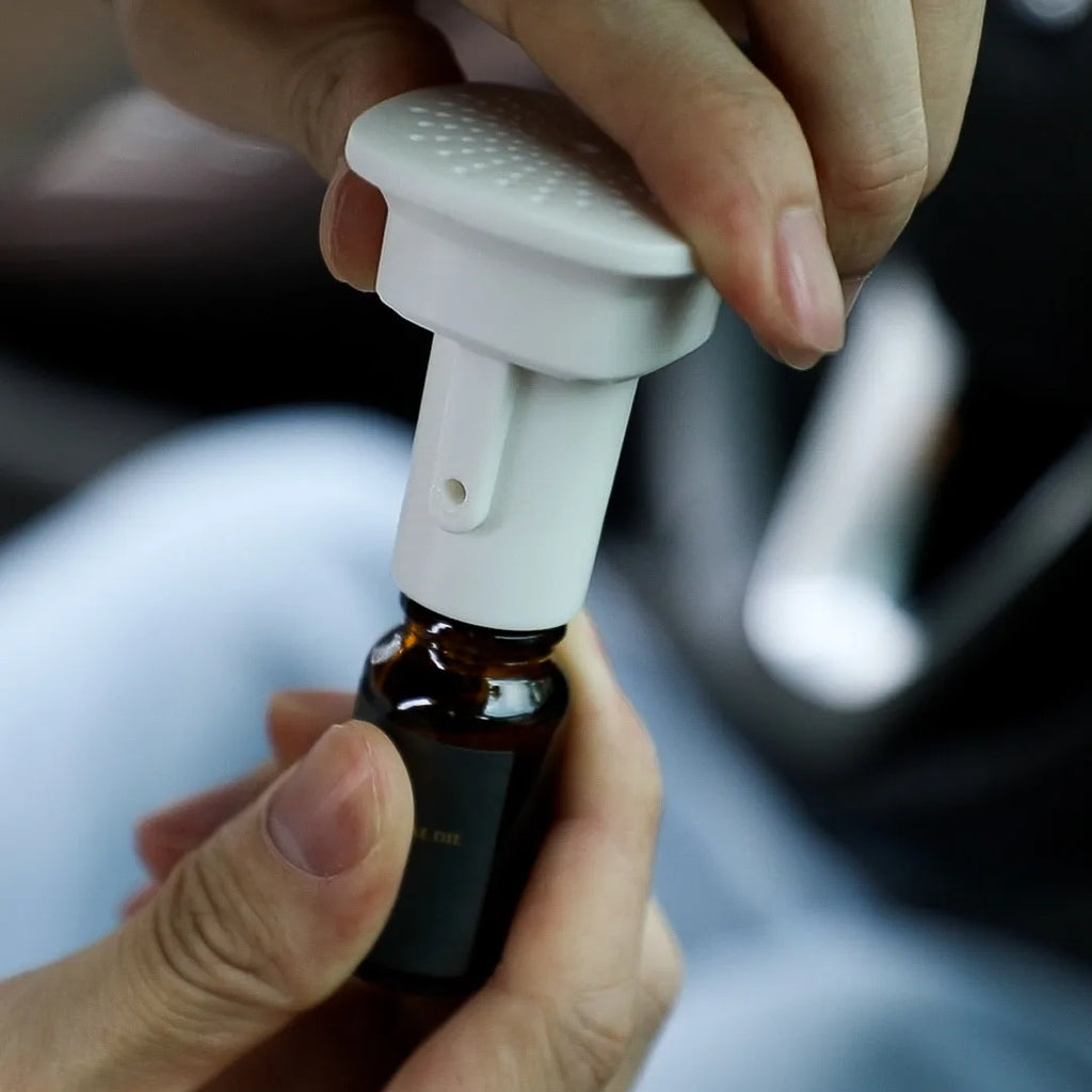 NAMSTE 10ML Car & Home Aroma Diffuser 6 Packs
