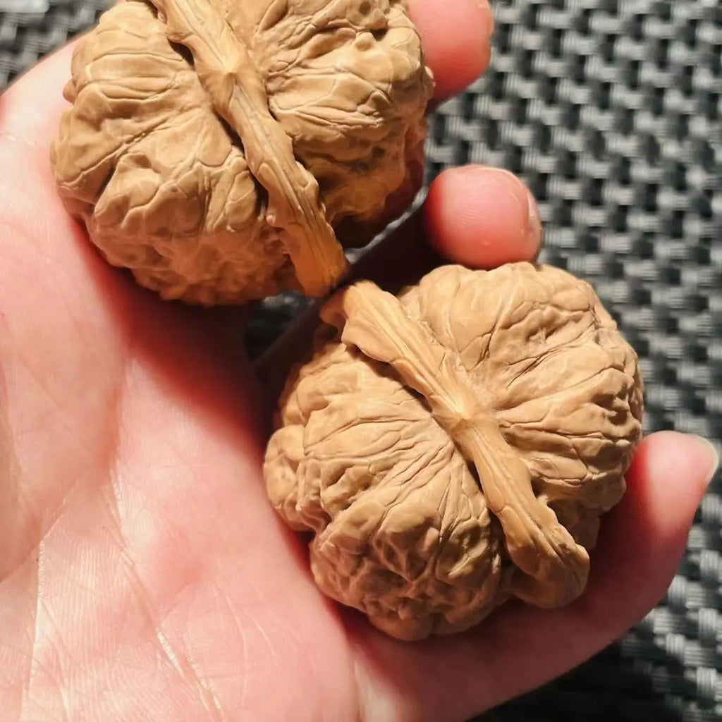 2026 Chinese Style Toad Head Walnut Fidget Toy 34-41mm