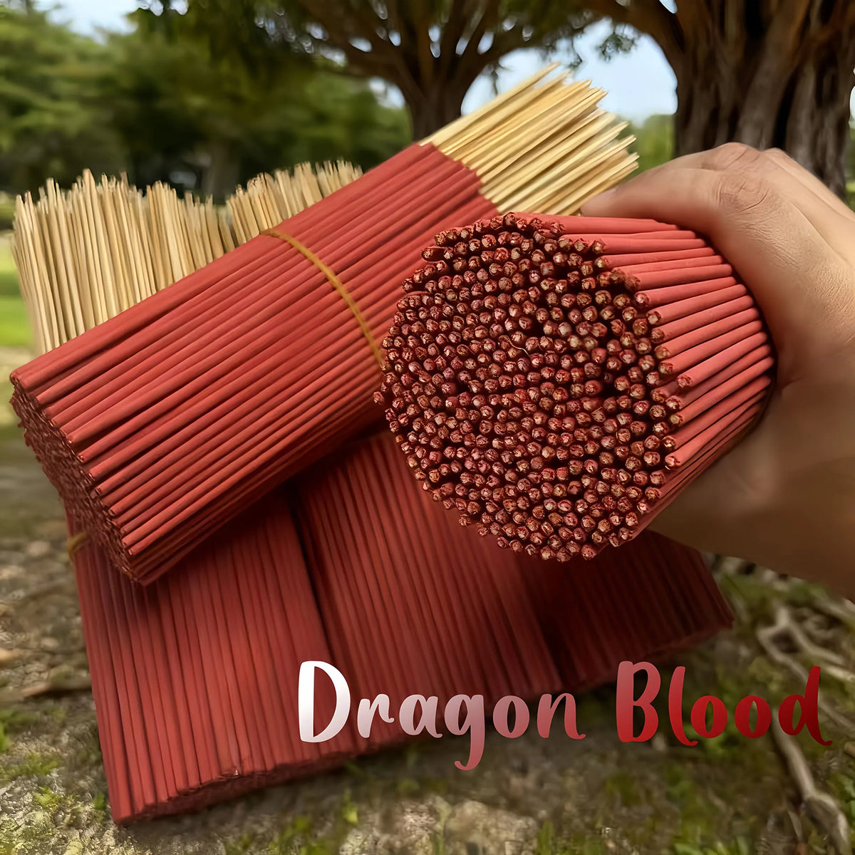 19/51/171/401/701 Dragon Blood Incense - Made from Bamboo Wood, Traditional Chinese Feng Shui Incense, Creates a Romantic Fragrance, Suitable for Home Purification, Yoga, Meditation, and Spirituality