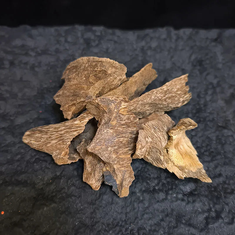 10 Grams Vietnam Nha Trang Natural OUDH Insect Leakage Incense Shavings Water Soaking Fragrant Seal Tea Wholesage Bulk Sale