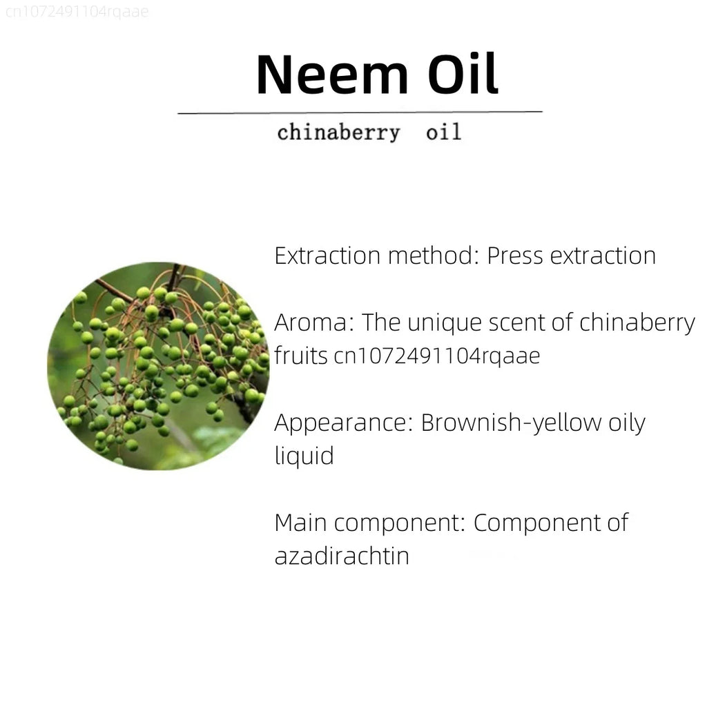 Organic Neem Oil 100ml for Aromatherapy & Meditation