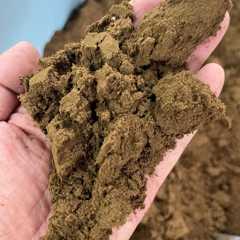 Natural Green Qinan Agarwood Powder Laosheng Pure Qinan Fragrance Powder Car Home Aromatherapy Soothing and Relaxing Spirit