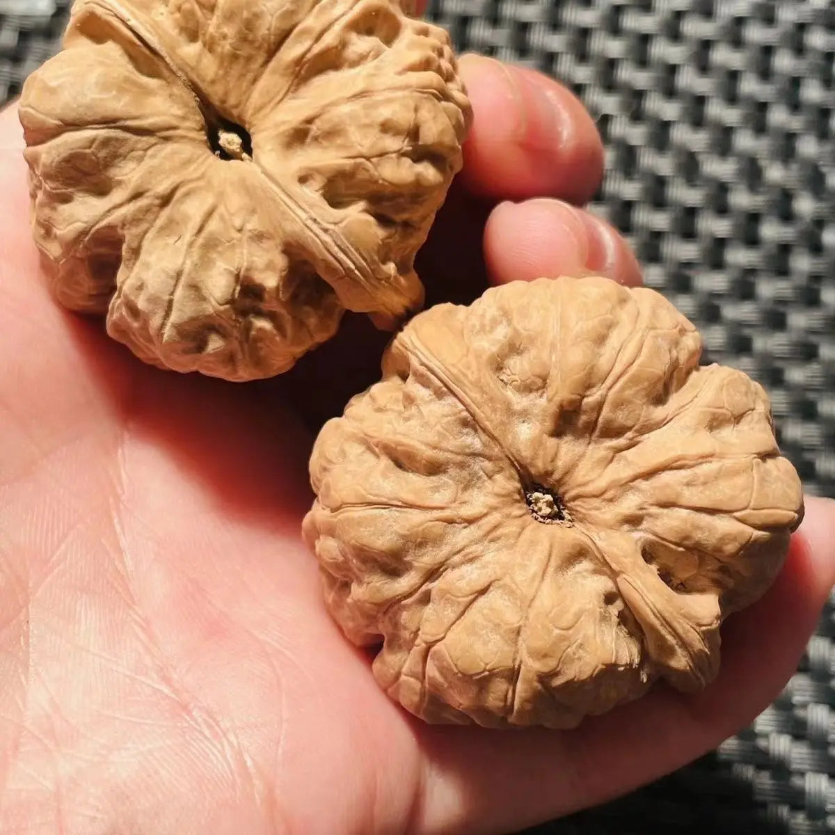 2026 Chinese Style Toad Head Walnut Fidget Toy 34-41mm