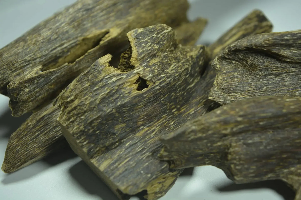 1Bag 5g Natural Hainan Agarwood Worm Leakage Scraping Scraps Incense Aromatherapy Agarwood Raw Wood Block Free Shipping Included