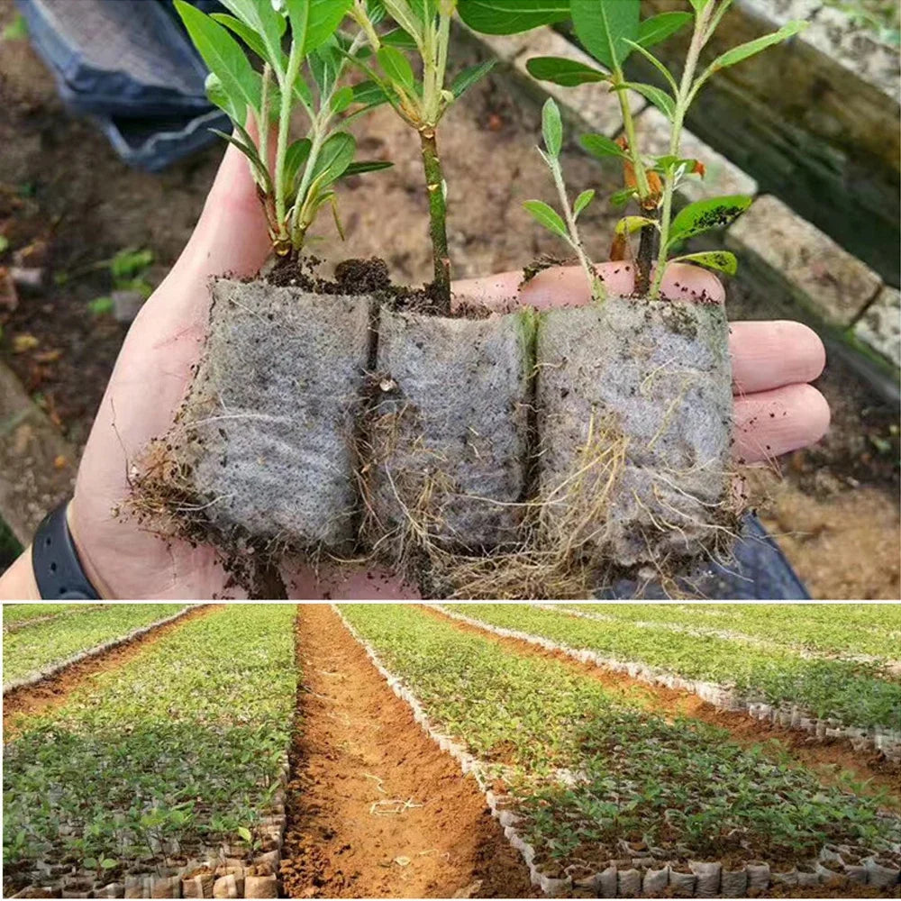 100-500Pcs Biodegradable Grow Bags 10x10cm-20x26cm