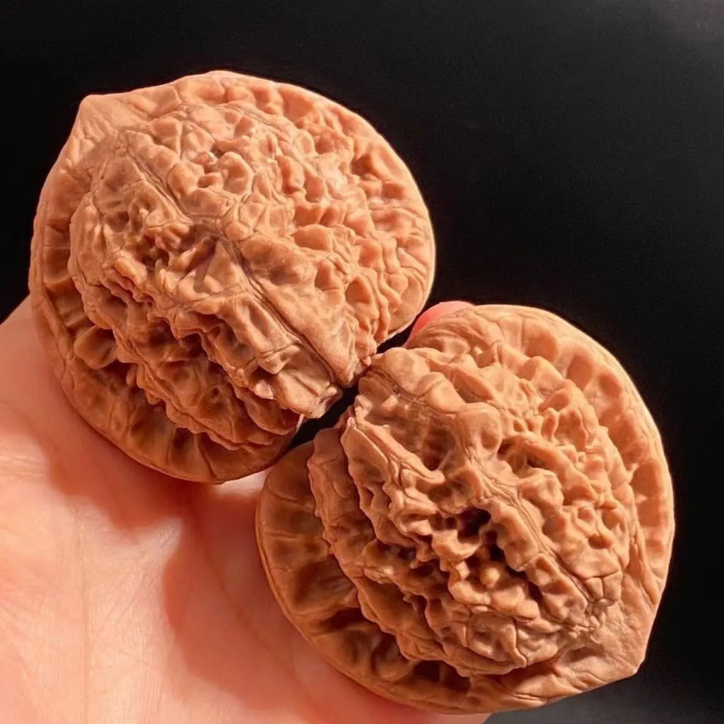 2026 Chinese Style Toad Head Walnut Fidget Toy 34-41mm